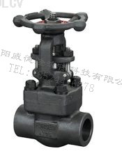 鍛鋼閘(zhá)閥 Z61Y、Z61H