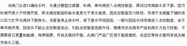 緩閉止回(hui)閥工作原理(lǐ)