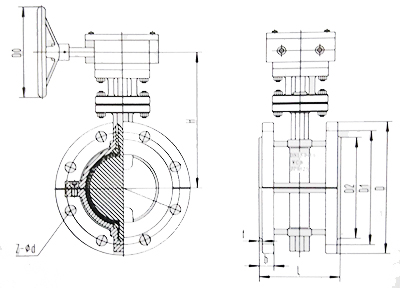 襯氟(fú)蝶閥結構示(shì)意圖