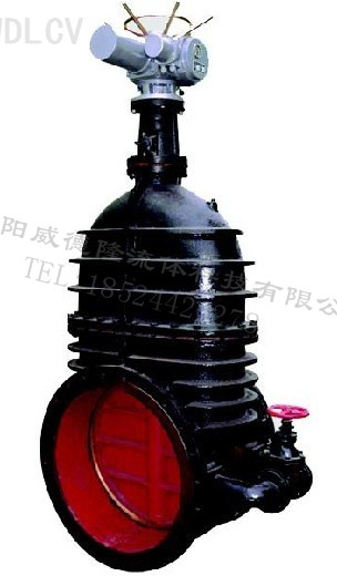 鑄鐵電動暗(àn)杆閘閥 WDLZ941T-10 
