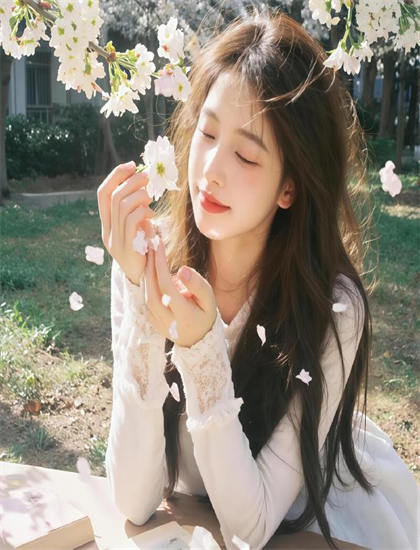 探索泡菜帮的奥秘：隐藏细节与深层意义